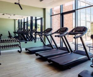 Read more about the article Cardio Equipment